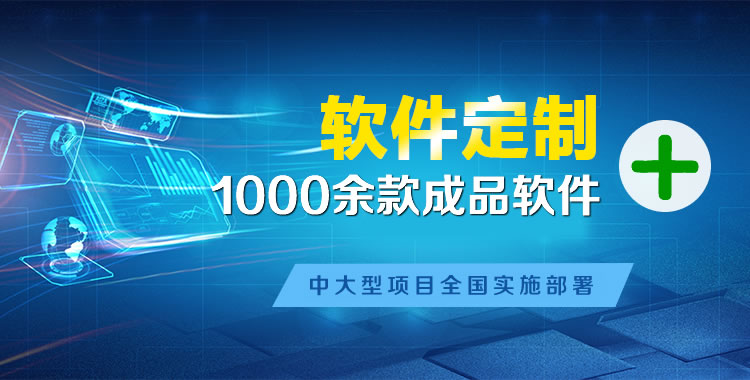 左贡软件开发